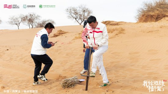 ‘箭牌泽计划’公益合伙人种植黄柳