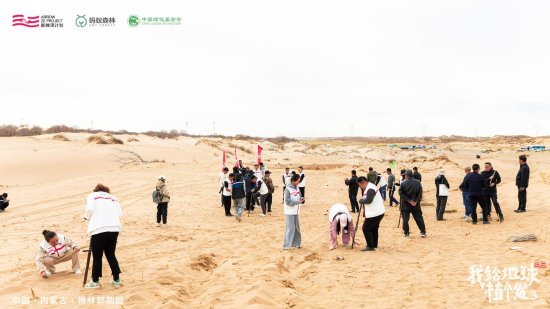 ‘箭牌泽计划’公益合伙人种植黄柳