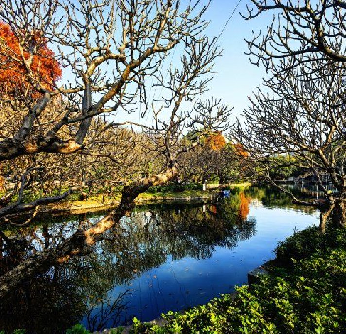 春秋剑歌：烟火与诗意的花城