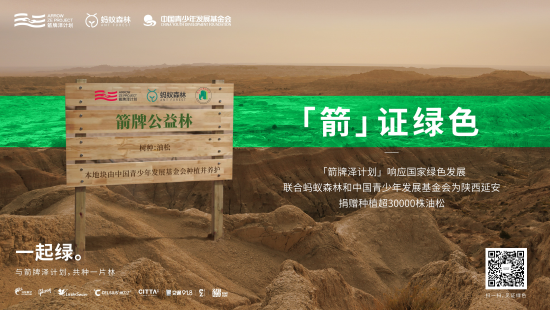 延安市甘泉县箭牌公益林项目现场