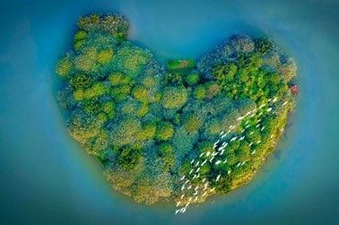 图:绿色之心绿岛湖。