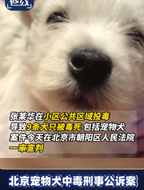 男子毒死9条宠物狗被判4年