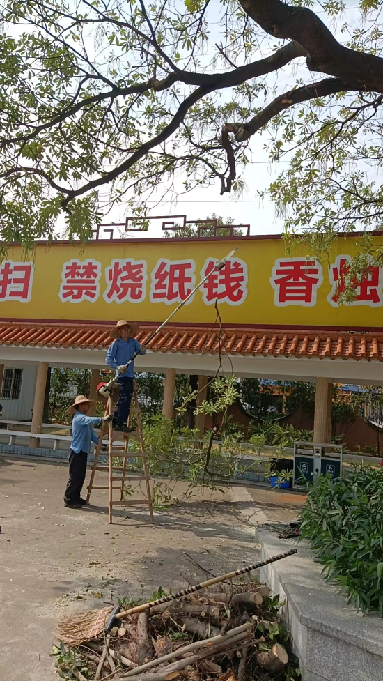飞鹅墓园提前对园区的绿化进行修剪美化