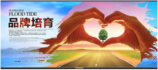 西安智讯互动营销策划与旧房翻新公司 哪些品牌更受欢迎