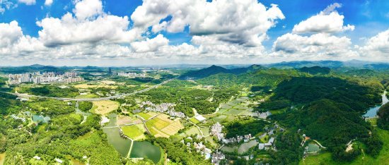 黄埔区、广州开发区奋力打造产城融合、城乡融合双标杆区。图为中新广州知识城新乡村示范带。李剑锋 摄