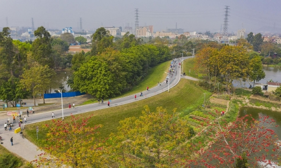 桑园围美景