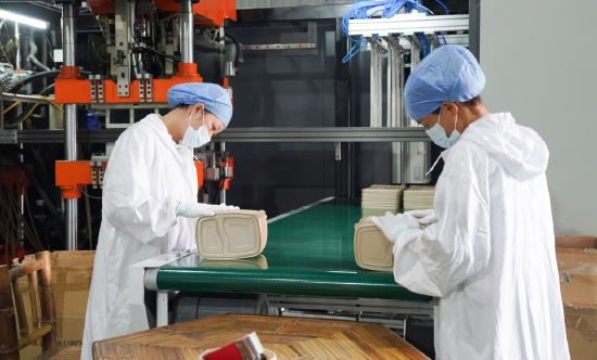 广东竹笙笙科技有限公司竹制环保餐具生产线