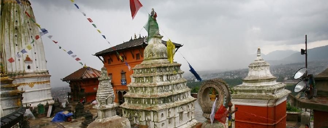 尼泊尔一座古庙被誉为动物天堂