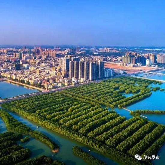 日新月异的电白区茂名有句老话"好嘢沉归底",徒步的终点水东红树林