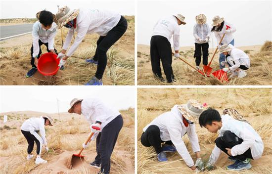 ▲志愿者们纷纷投入到挥锹铲土、挖坑栽苗的行动当中