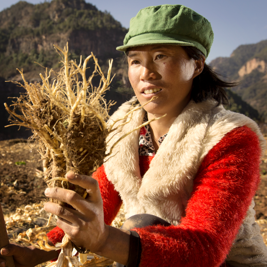 娇韵诗"美丽种籽"项目致力于保护云南省山区的自然环境以及使当地女性