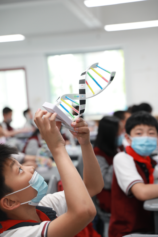 学生们参与“破译DNA密码”课堂,搭建属于自己的DNA模型