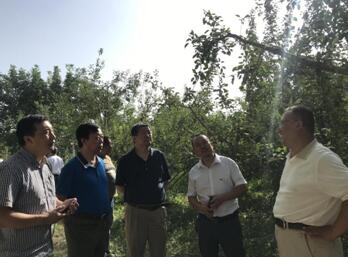 中国电商扶贫联盟成员单位实地调研对接农特产品企业