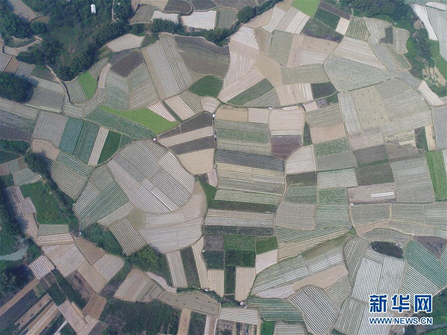 广西:春耕时节农事忙