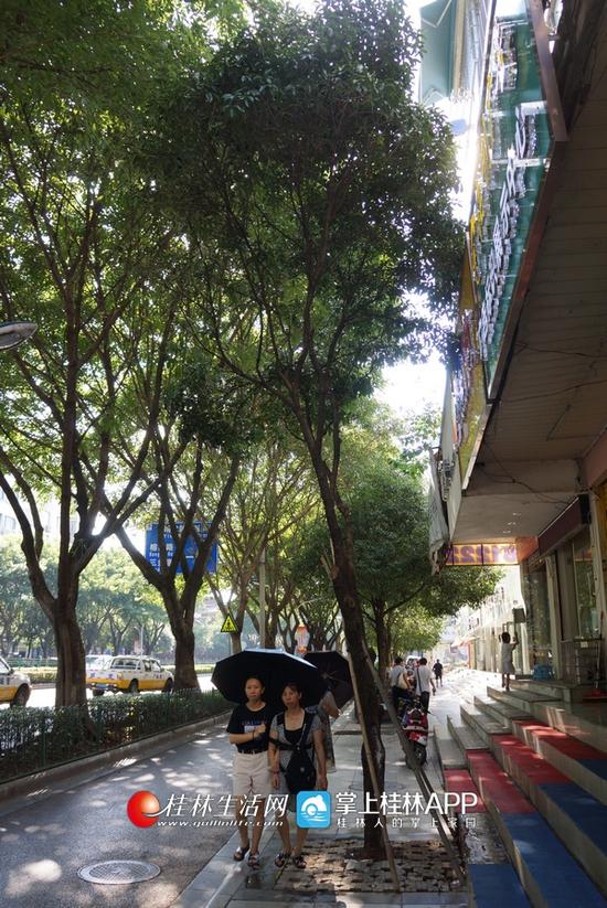 桂林解放西路人行道挡路树池获整改 市民通行更方便