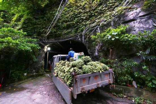 柳州芭蕉洞才20边吹冷气还能边吃芭蕉