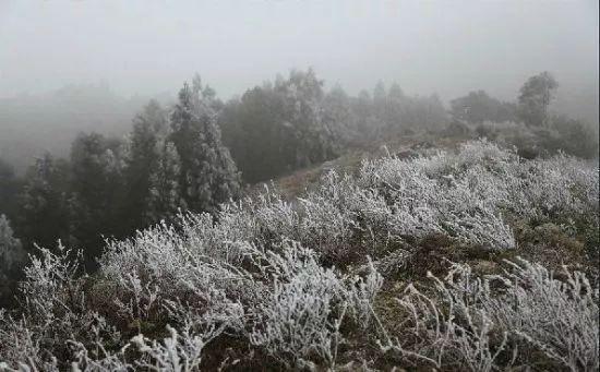 玉林大容山雪景图片图片