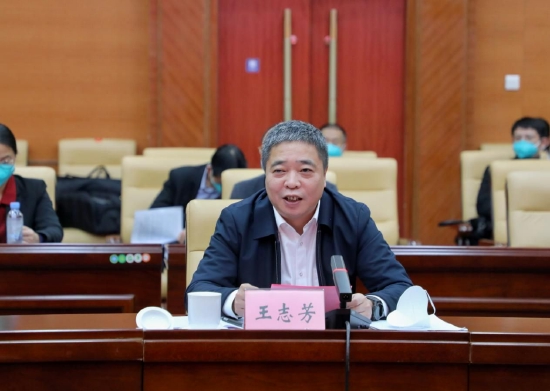 王志芳讲话
