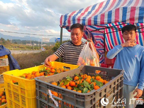 广西来宾：移出一片新天地 扶出幸福好生活