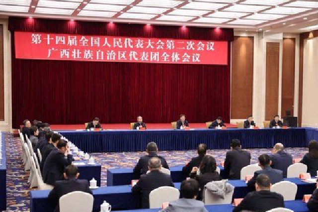 十四屆全國人大二次會議廣西代表團召開第二次全體會議 劉寧主