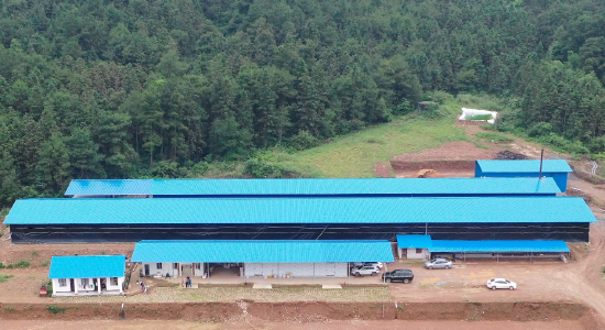 灌阳县观音阁乡海山食用菌产业基地新建的保温室式生产车间。基地供图