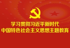 学习贯彻习近平新时代中国特色社会主义思想主题教育