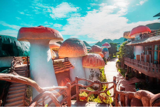 黔西南——品金州美食 共话文旅发展"主题直播在贵州醇景区蘑菇野奢