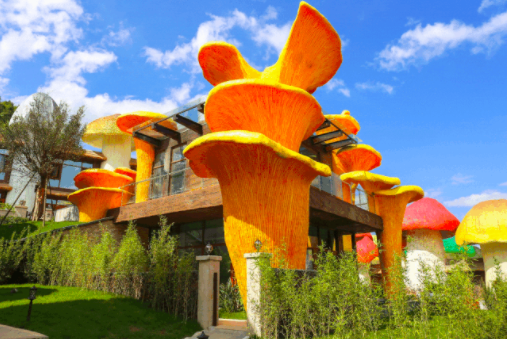 酒店界里的高级渣没错就是它蘑菇野奢酒店