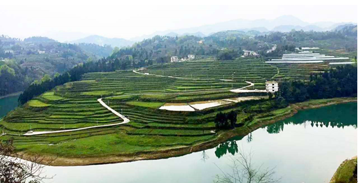 田坝的简称,位于正安县和溪镇境内,层峦叠翠,流水潺潺,山清水秀,风景