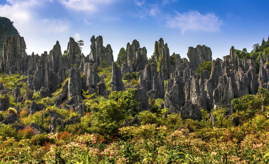 黔西南州兴义基本养老保险基数