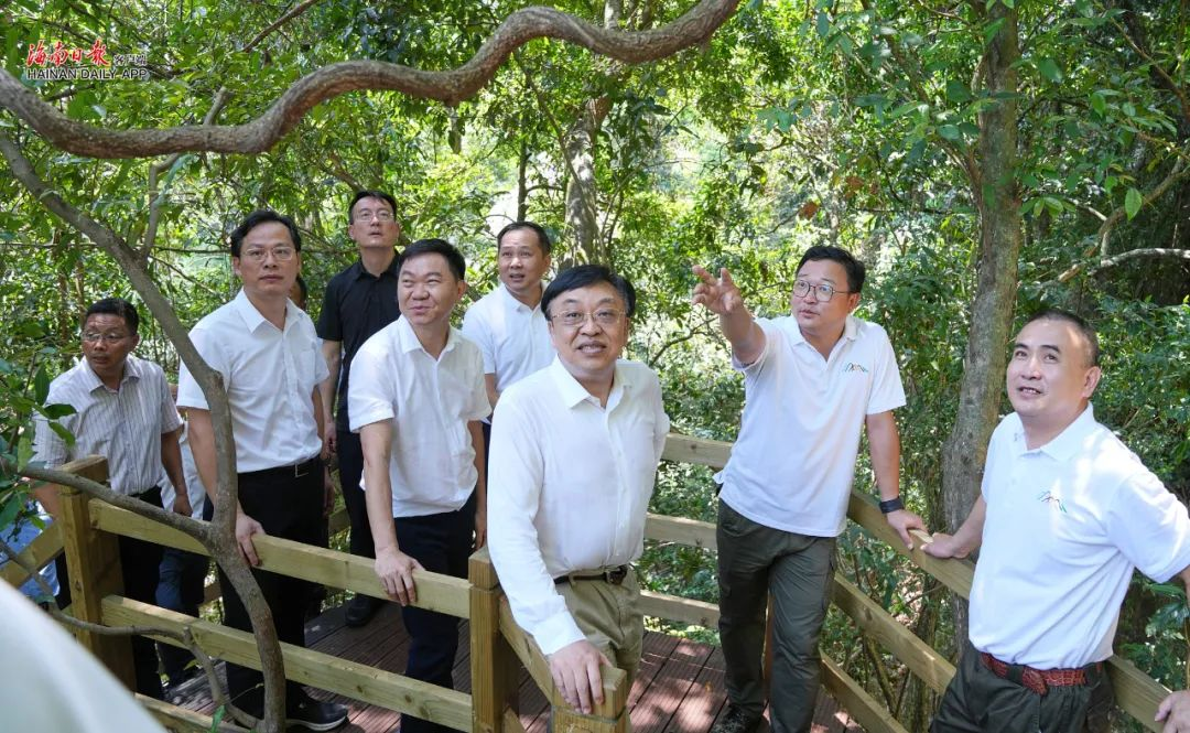 省委书记冯飞调研海南热带雨林国家公园