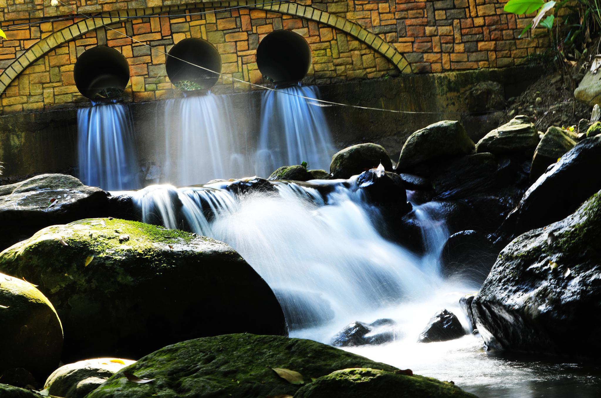 琼中百花岭热带雨林文化旅游区获评国家4a级旅游景区
