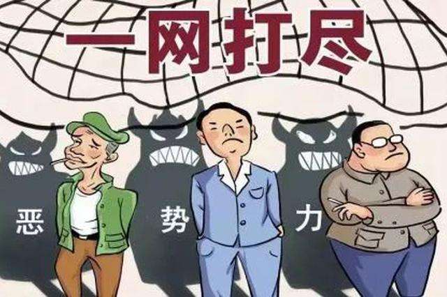 昌江法院对一恶势力犯罪团伙公开宣判