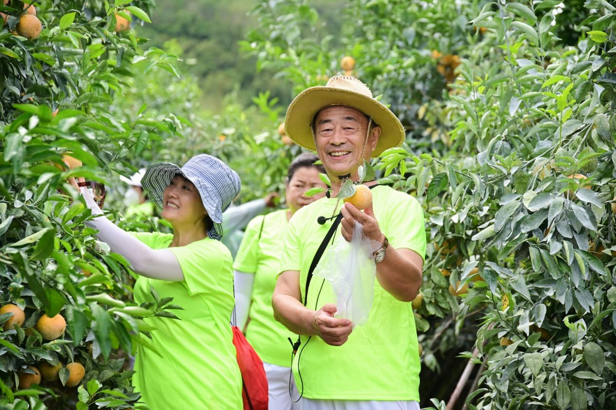 2022年第四届美丽海南乡村主题游活动走进乐东
