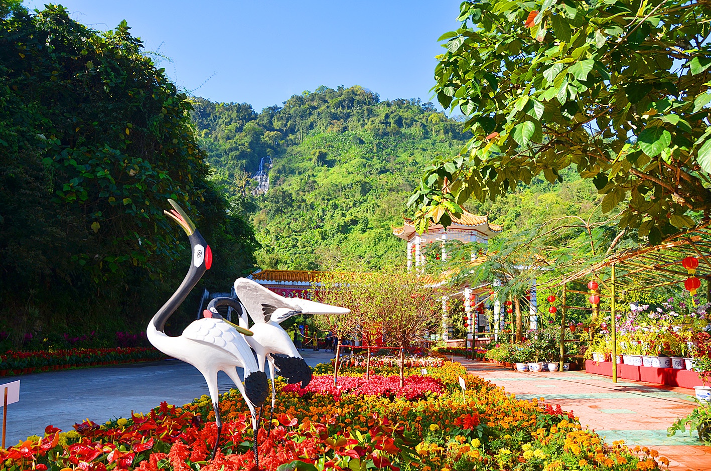 琼中百花岭热带雨林文化旅游区获评国家4a级旅游景区