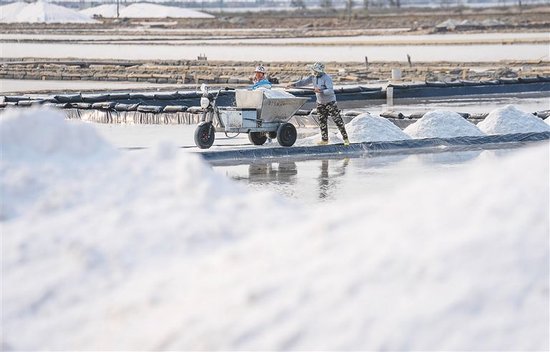海南乐东莺歌海盐场:夏日近 晒盐忙