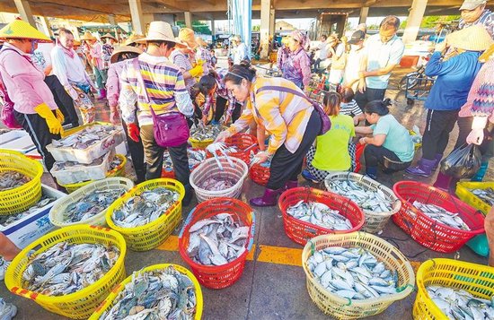 海南货源采购新趋势
