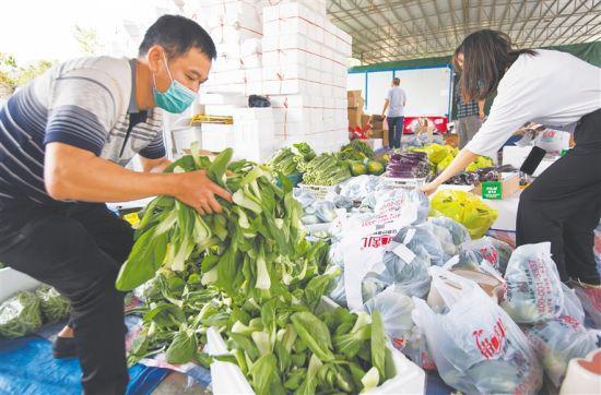 瓜菜运输快马加鞭