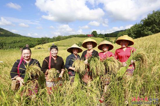 白沙“啦奥门”丰收节活动走进青松乡 祈福年年丰收