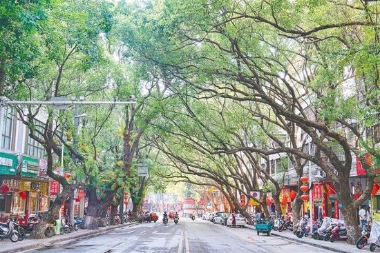 海南城镇道路景观:街头巷尾多"姿色"_新浪海南_新浪网