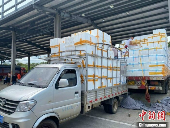 海口市菜篮子江楠农产品批发市场内菜贩抓紧运送蔬菜. 符宇群 摄