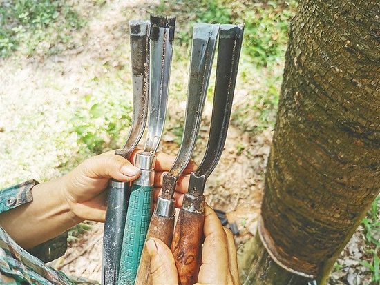 从长柄拉刀到割胶黑科技一把胶刀的变迁