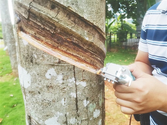 从长柄拉刀到割胶黑科技一把胶刀的变迁