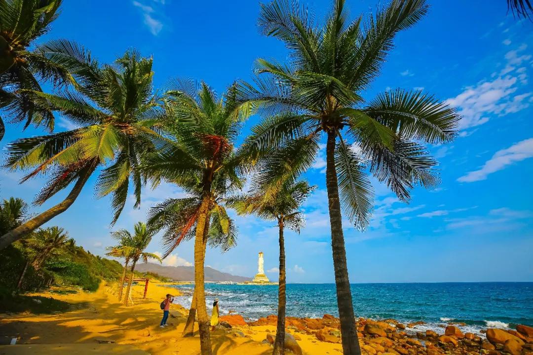 聆听南山:念一处春光,遇一场花开_新浪海南_新浪网