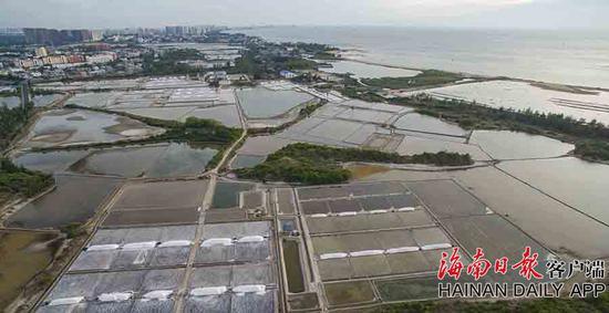 7月14日,海南省东方市东方盐场.