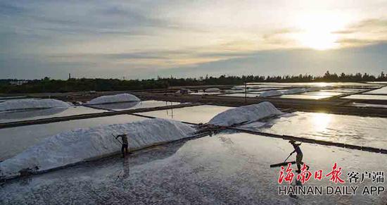 7月14日,海南省东方市东方盐场.