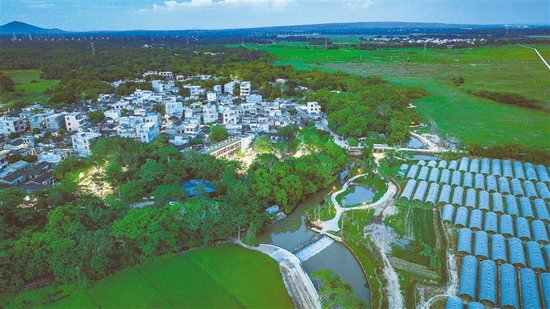 儋州市中和镇七里村治理水体乡村更美