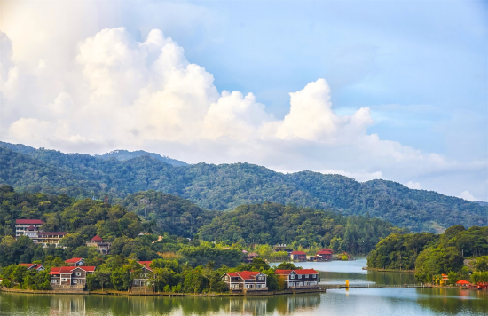 海南热带雨林国家公园尖峰岭片区