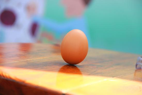 蜈支洲岛竖鸡蛋大赛