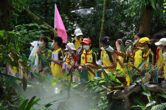中小学生雨林研学游